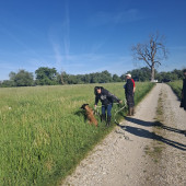 Bild_3