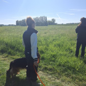 Bild_4
