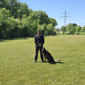Bild_6