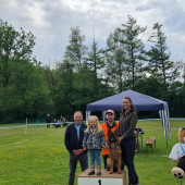 Bild_4