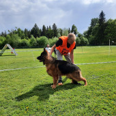 Bild_5